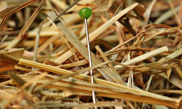 Comment trouver le meilleur taux ?