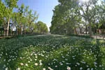Immofinances.net ST CLEMENT DE RIVIERE, courtier en pr&ecirc;t immobilier
